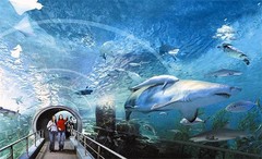 Ребенок. Инструкция по применению