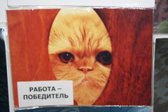Радио Дача – Матвеев Курган