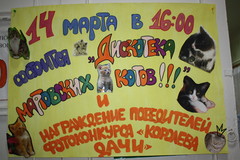 Радио Дача – Матвеев Курган