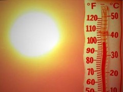 Честно о полезном. Как защитить свой организм от жары